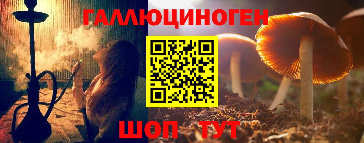Галлюциногенные грибы Psilocybe Мариинск